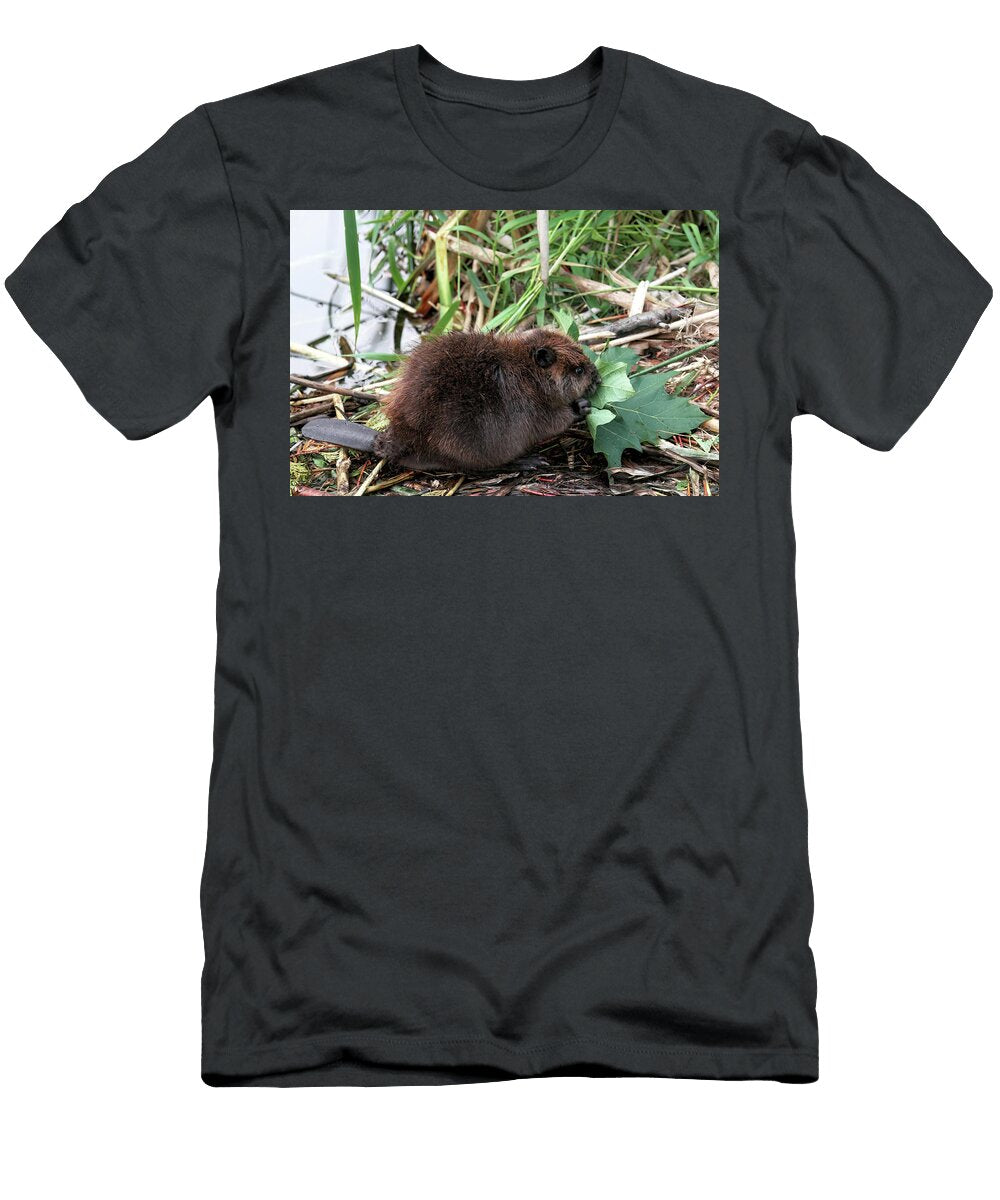 Baby Beaver Eating a Maple Leaf Peggy Collins T-Shirt