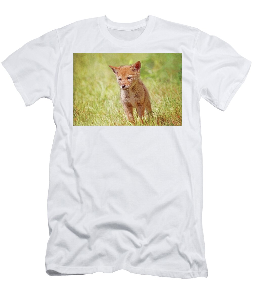 Baby Coyote Wild and Free Peggy Collins T-Shirt