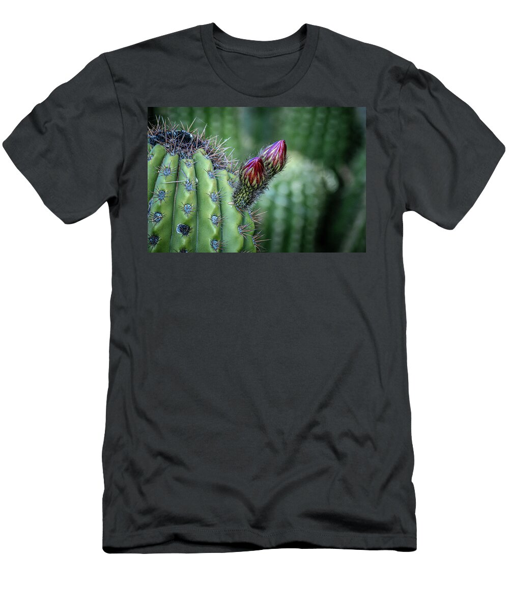 Baby Hedgehog Cactus with Buds Linda Unger T-Shirt
