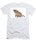 Baby Hedgehog Mark Taylor T-Shirt