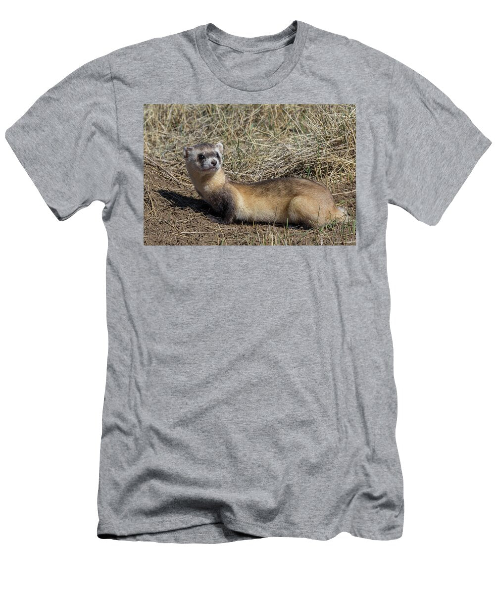 Back Footed Ferret Keeps Watch Tony Hake T-Shirt