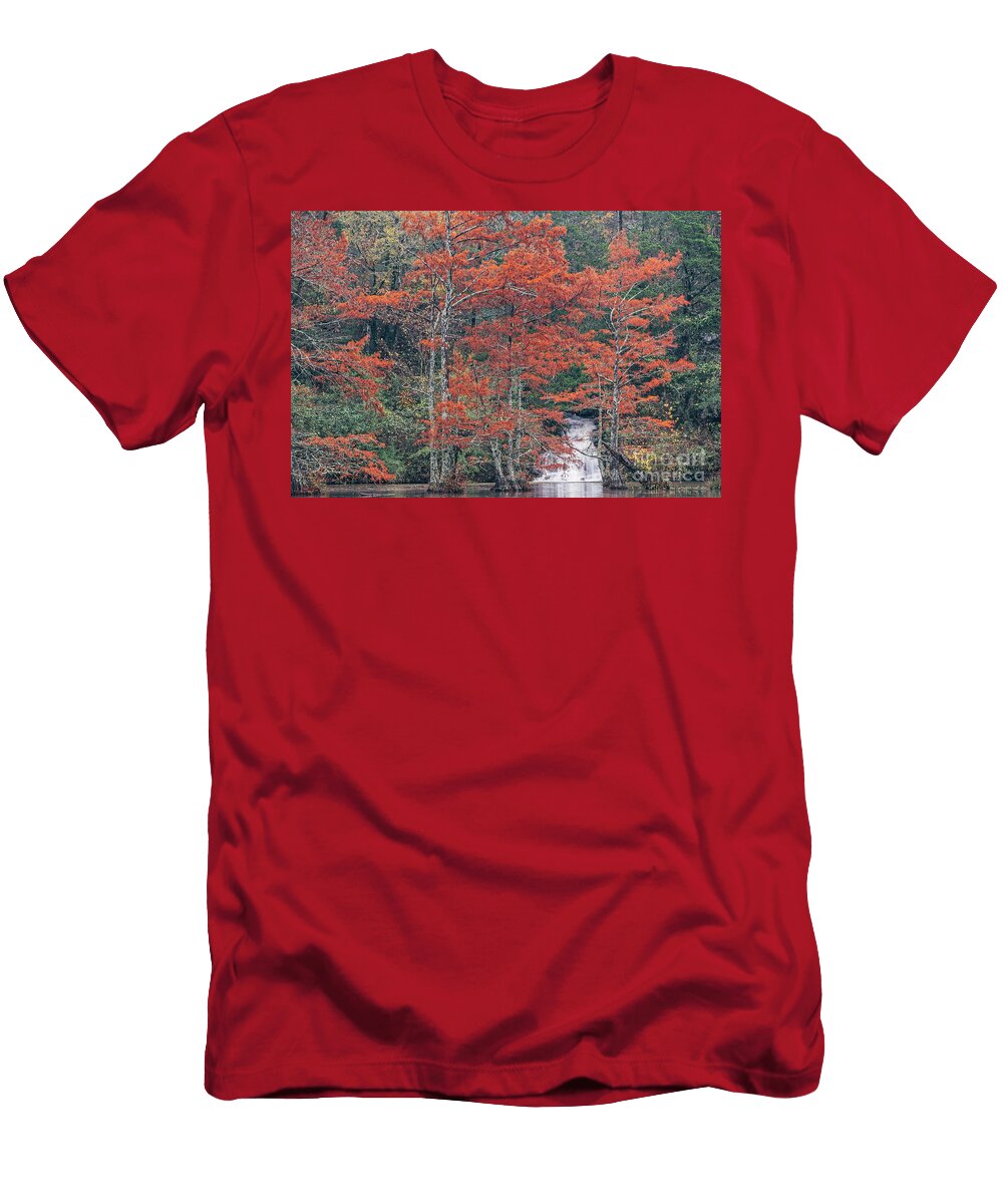 Bald Cypresses and Intermittent Falls After the Rain Beavers Bend State Park Broken Bow Oklahoma Silvio Ligutti T-Shirt