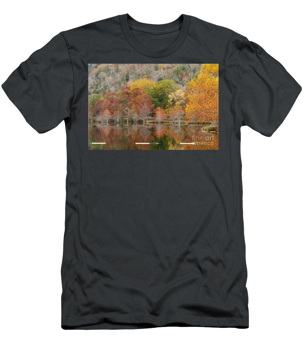 Bald Cypresses and Sycamore Silvio Ligutti T-Shirt