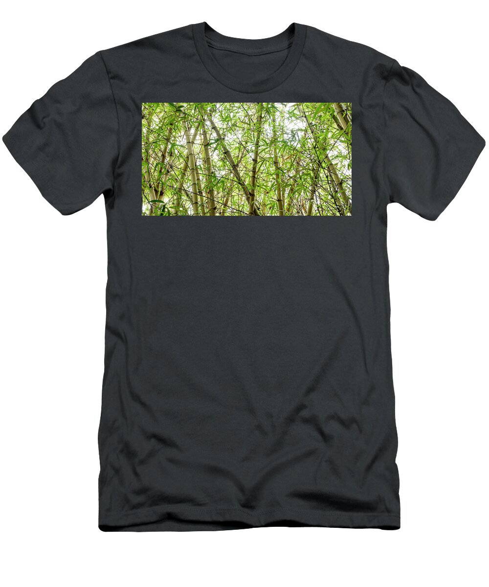 Bamboo Phil Ferret T-Shirt