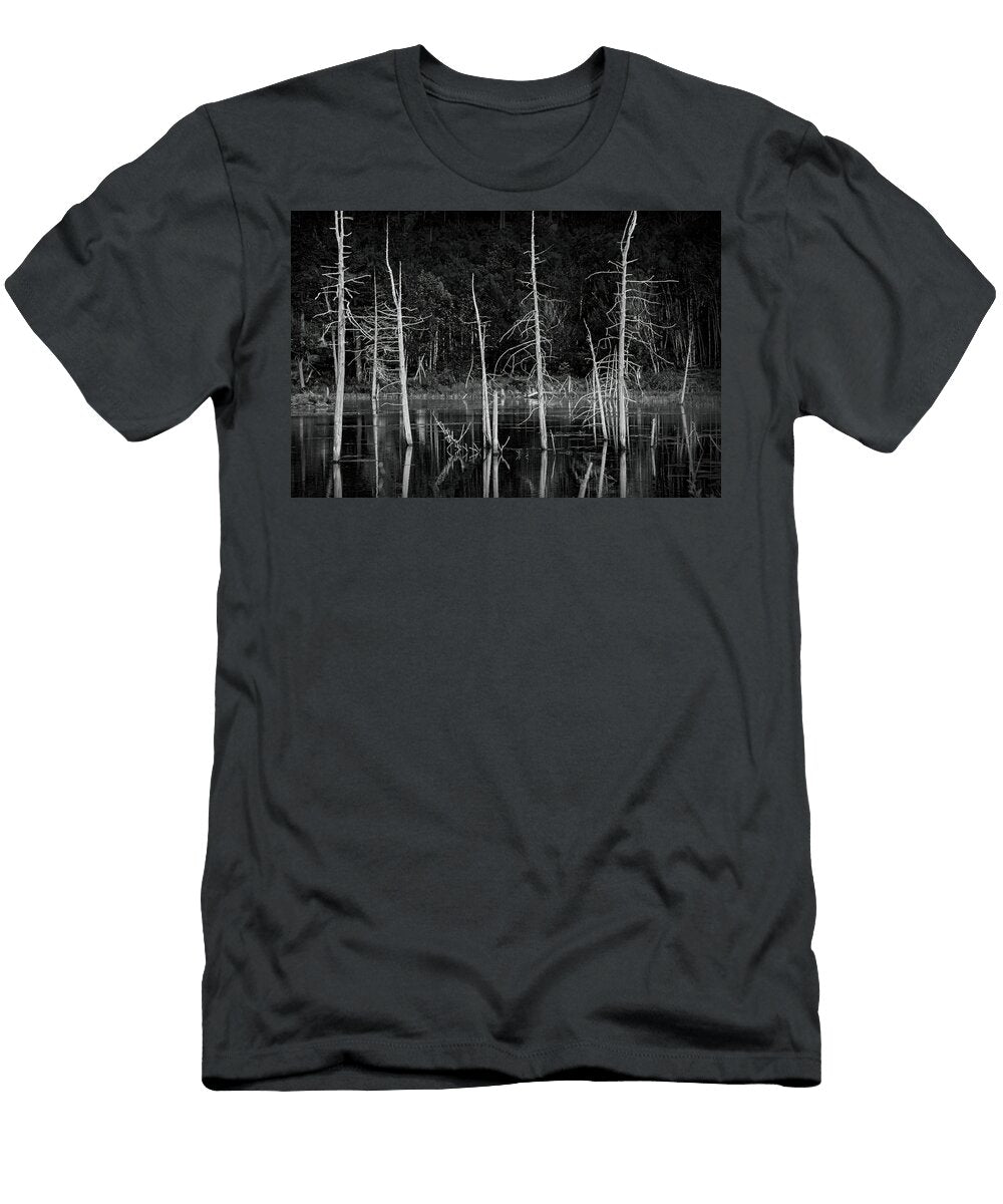 Bare Trees Reflected in a Beaver Pond in Acadia National Park Randall Nyhof T-Shirt