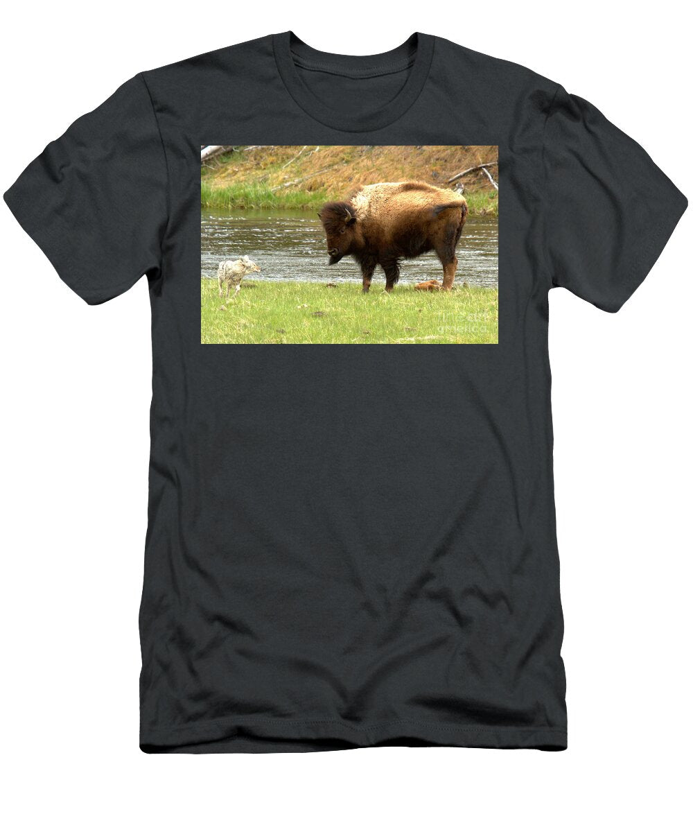 Battling Mother Bison Adam Jewell T-Shirt
