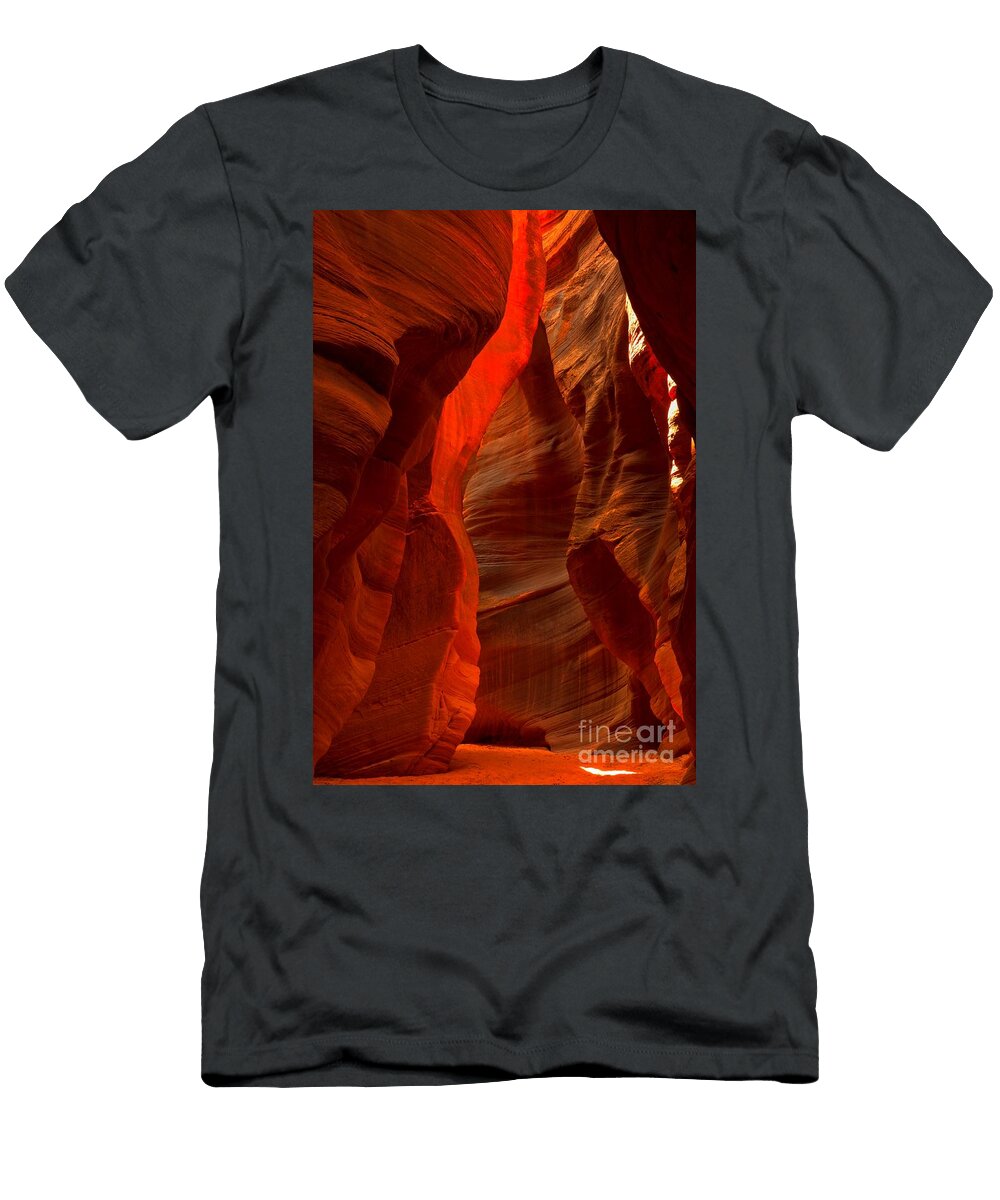 Beautiful Buckskin Adam Jewell T-Shirt