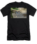 Beautiful Zebra in the Shade Johan Ferret T-Shirt