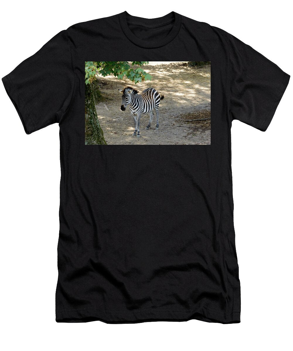 Beautiful Zebra in the Shade Johan Ferret T-Shirt