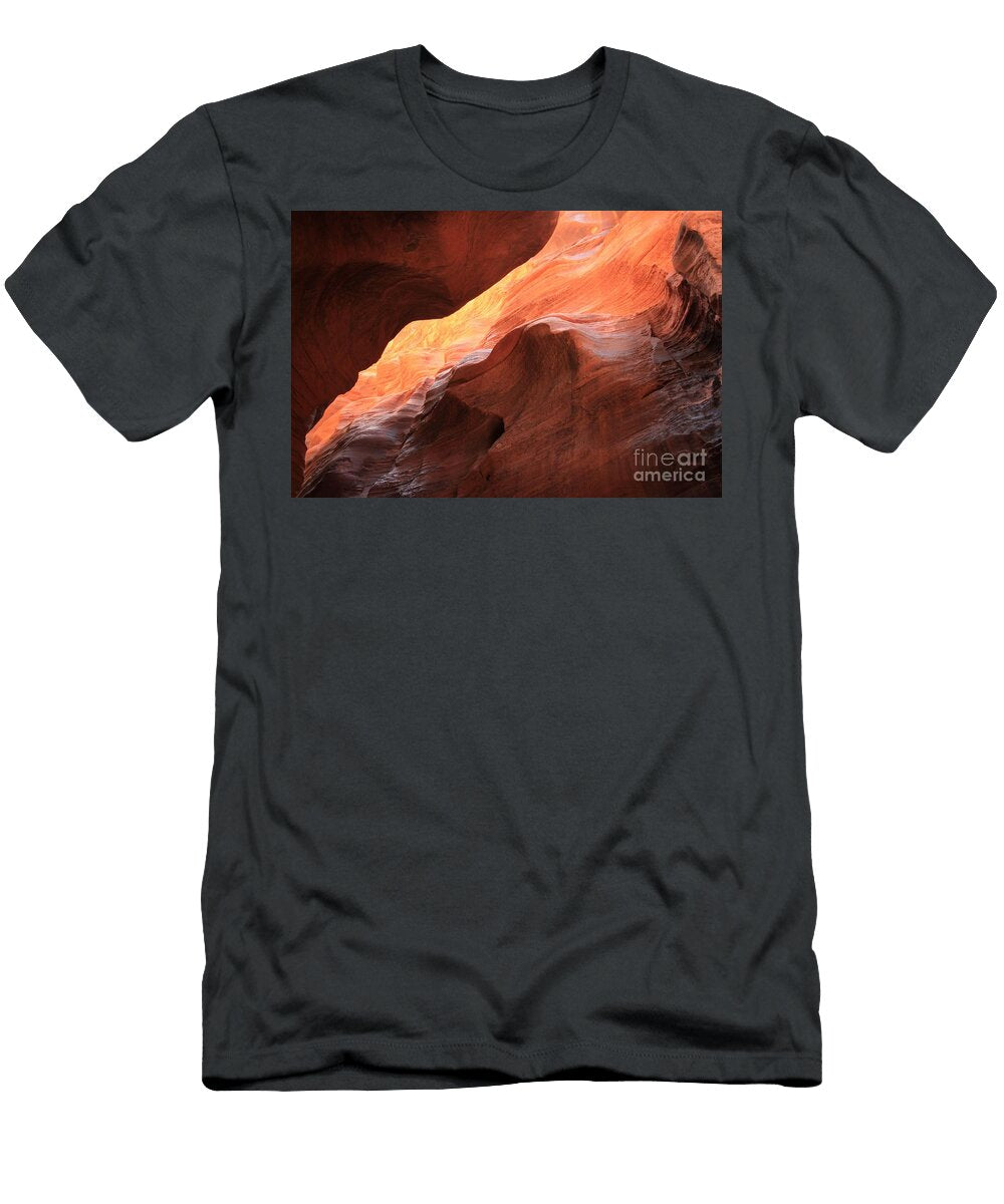 Beauty Overhead Adam Jewell T-Shirt