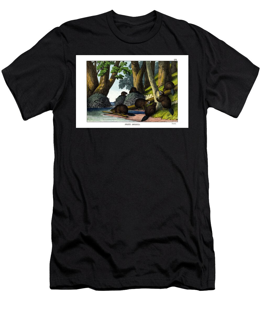 Beaver 1860 English School T-Shirt