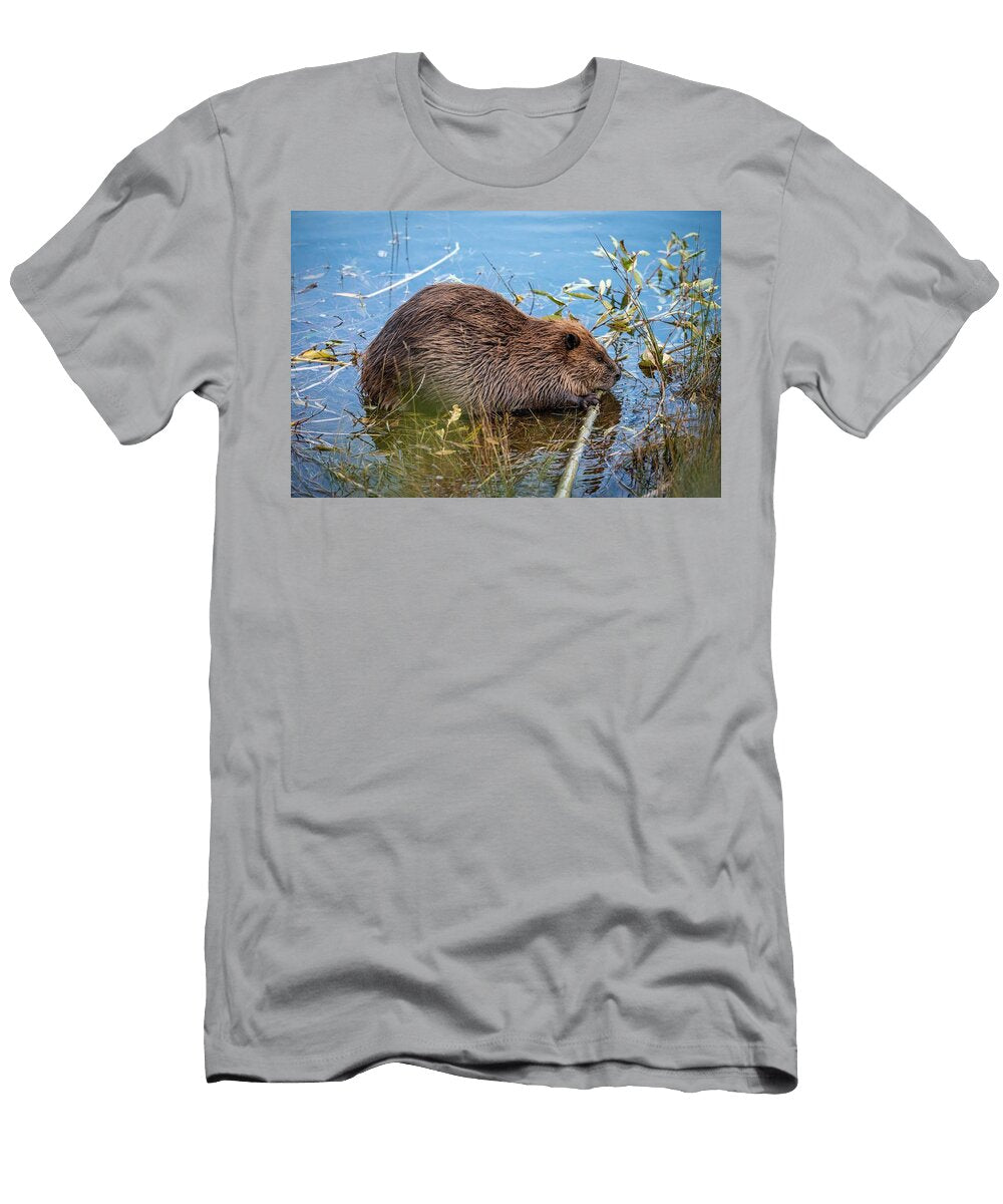 Beaver 5 Les Classics T-Shirt