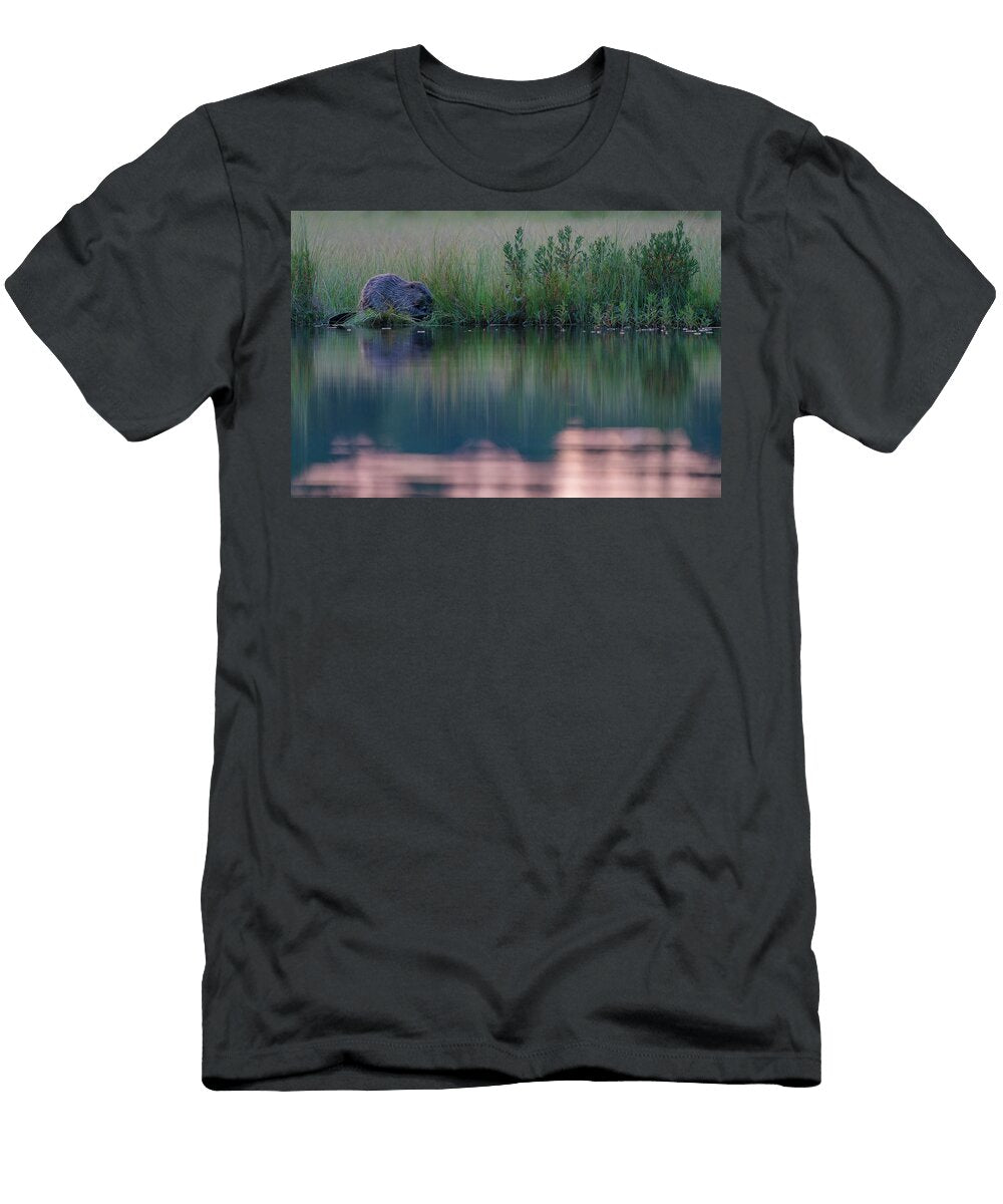 Beaver At Edge of Lake Malingsbo Kloten Nature Reserve Staffan Widstrand Natureplcom T-Shirt