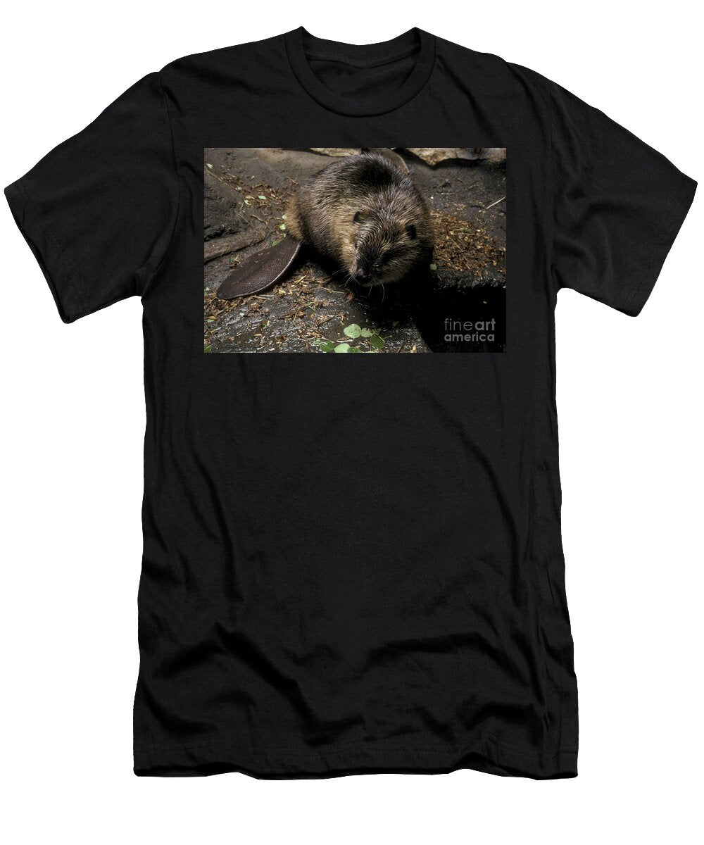 Beaver At Lodge Lynda Richardson T-Shirt