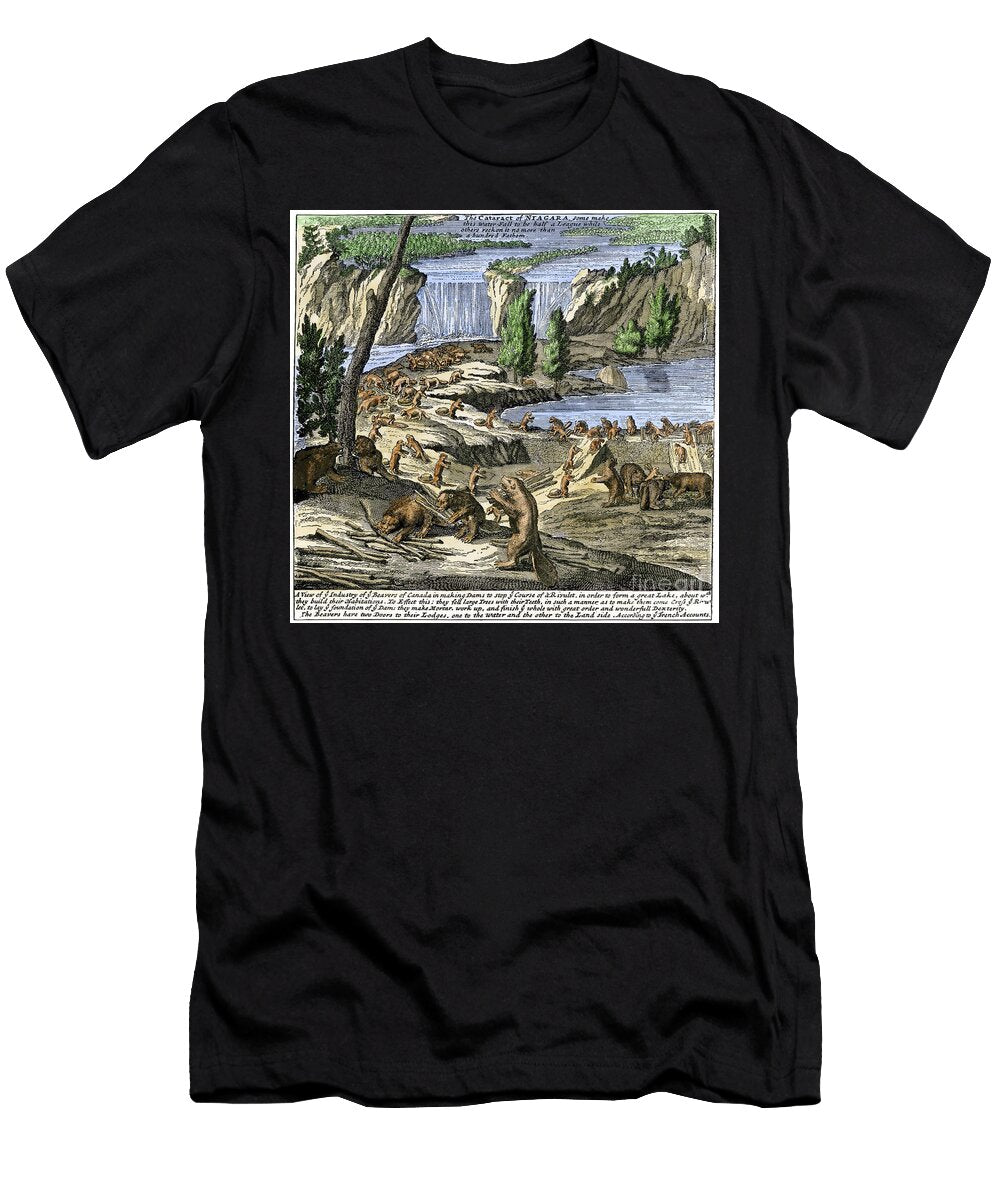 Beaver Built Dams Near Niagara Falls Start 1700 Colouring Engraving of the 19th Century American School T-Shirt