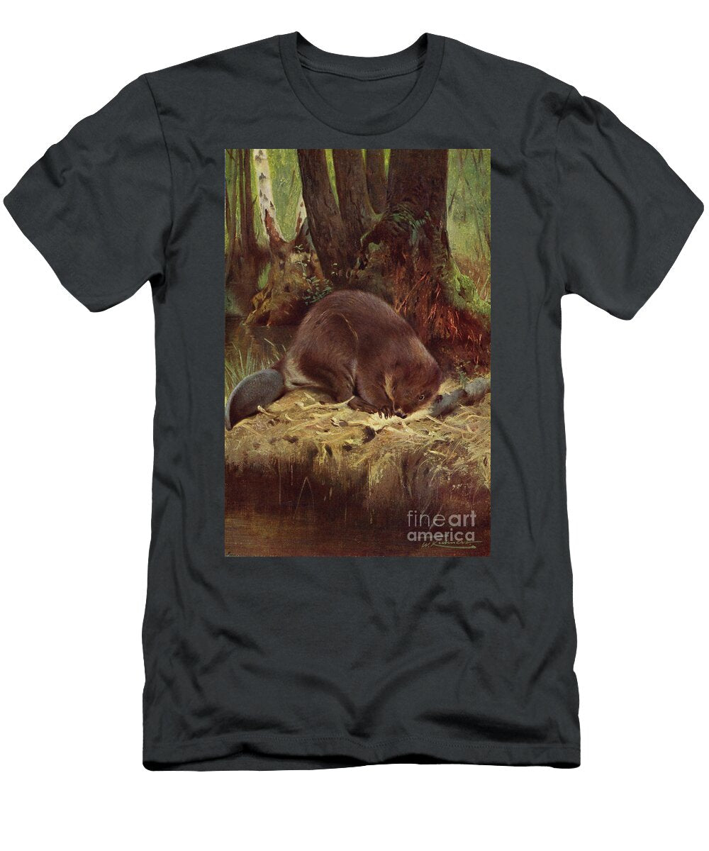 Beaver By Wilhelm Kuhnert Wilhelm Kuhnert T-Shirt