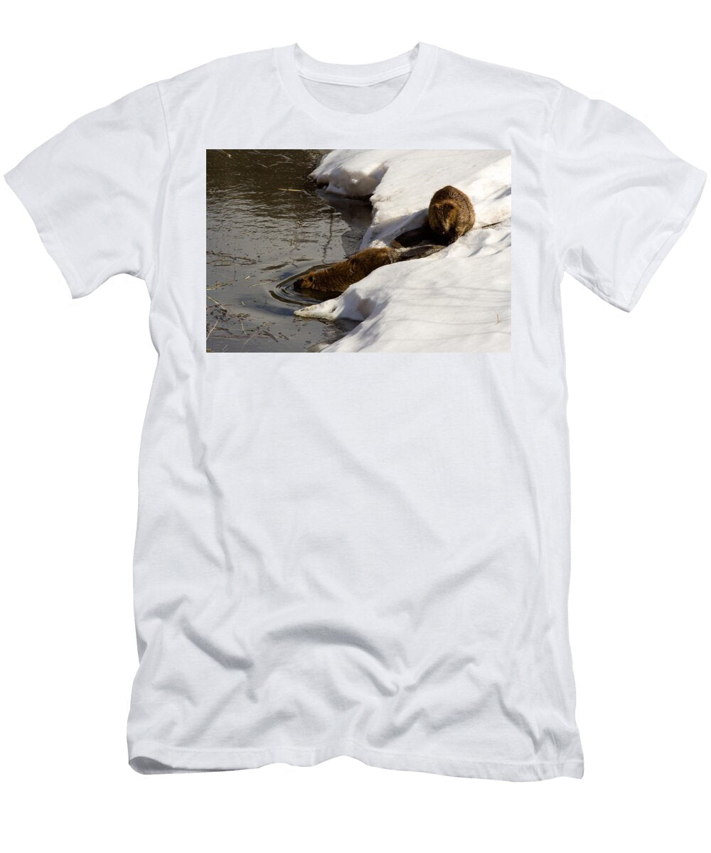 Beaver Castor Canadensis Pair Greg Ochocki T-Shirt
