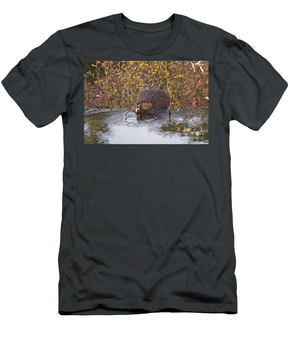 Beaver Castor Canadensis Ron Sanford T-Shirt