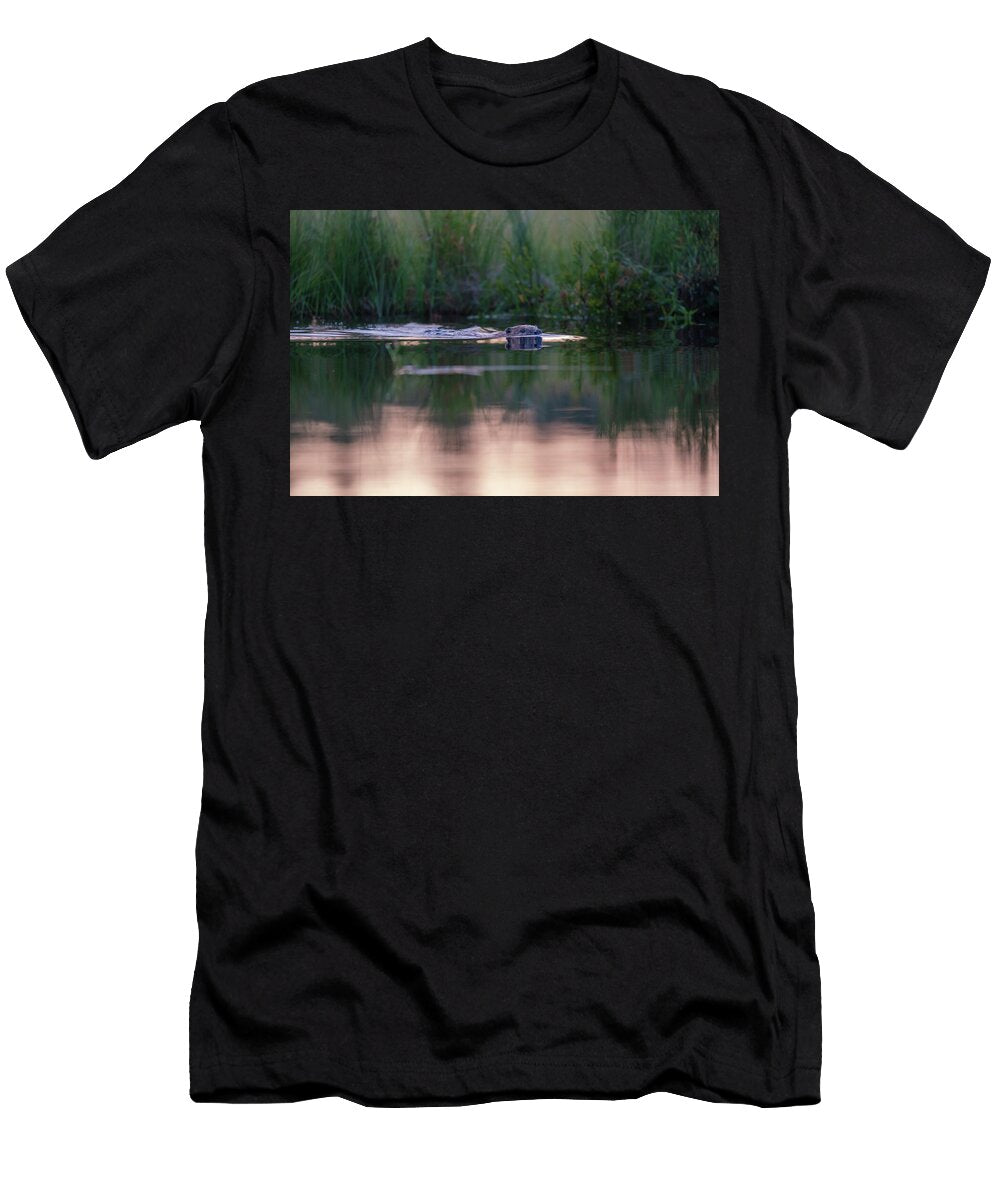 Beaver Castor Fiberswimming Malingsbo Kloten Nature Staffan Widstrand Natureplcom T-Shirt