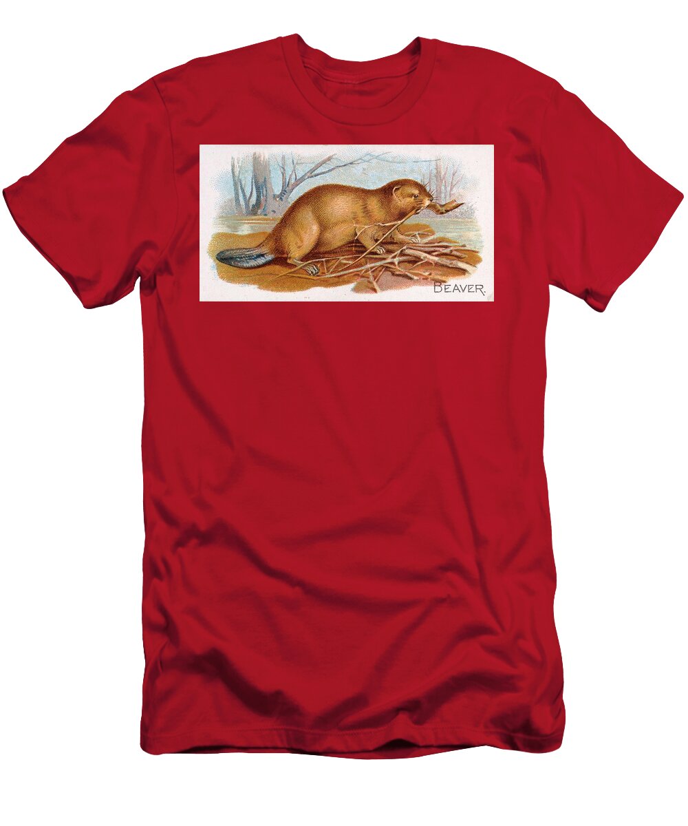 Beaver Cenus Gastor 1890 Les Classics T-Shirt