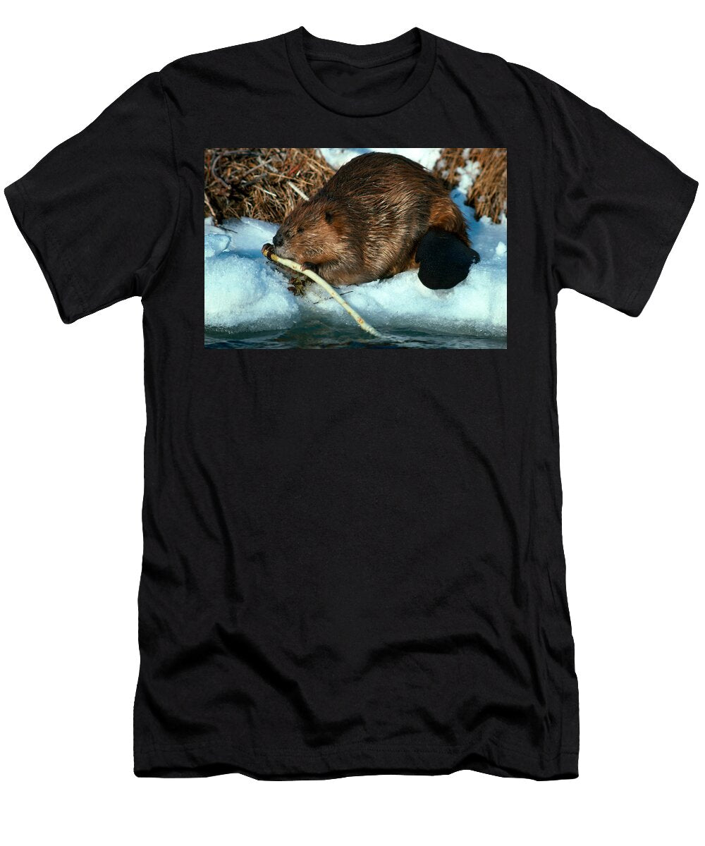 Beaver Chewing a Branch Harry Engels T-Shirt
