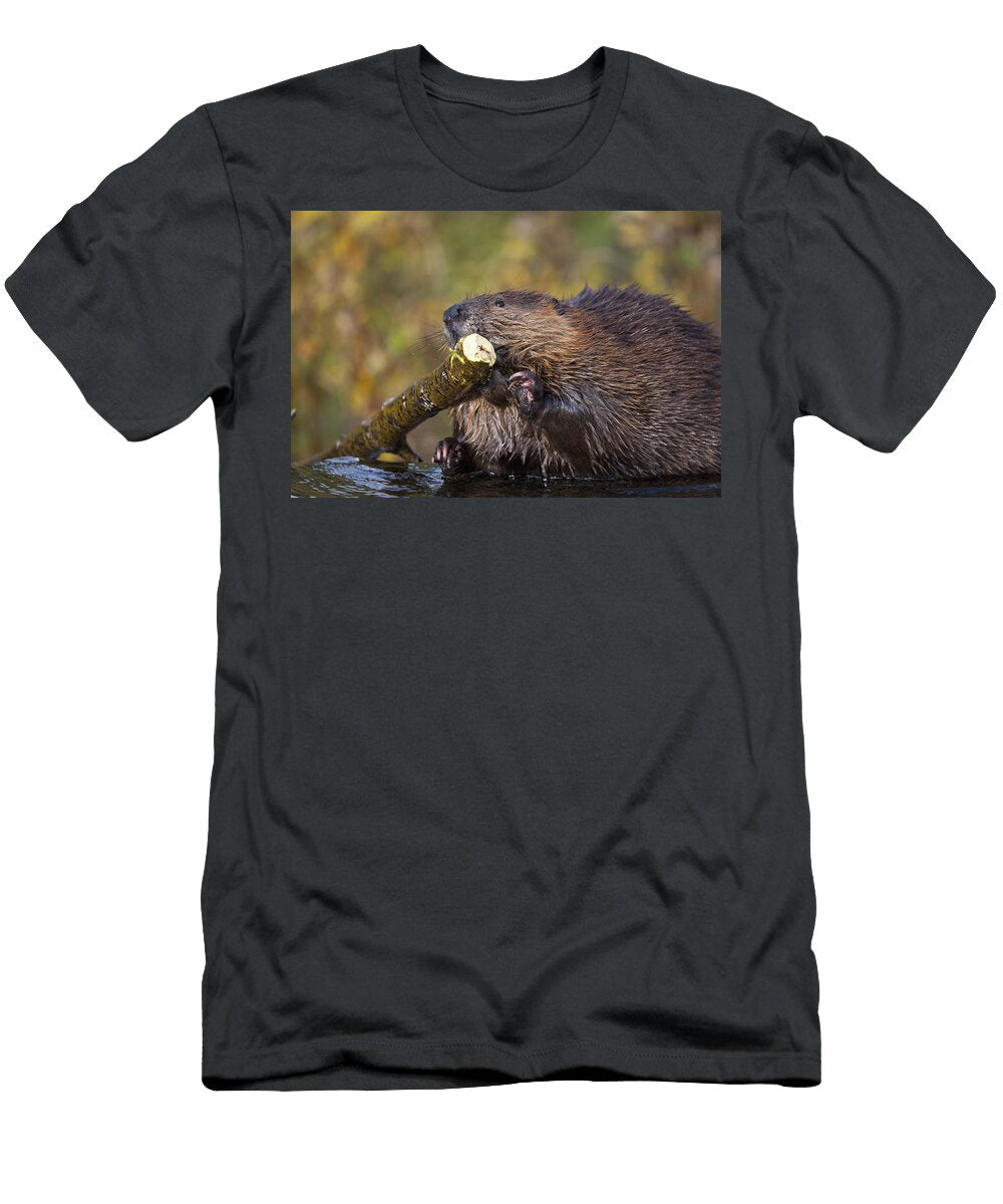 Beaver Chewing on Log in a Pond Denali Kent Fredriksson T-Shirt