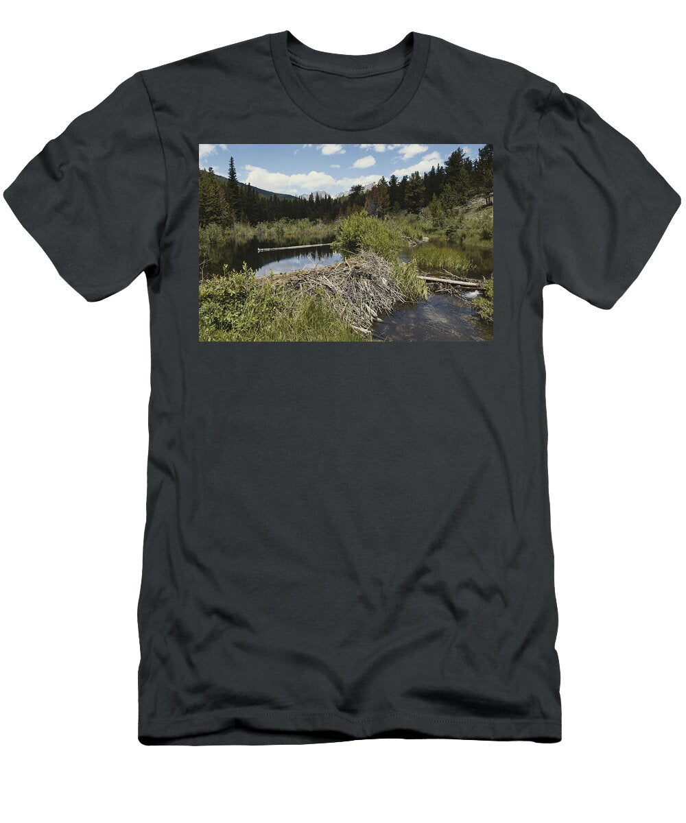 Beaver Dam and Pond Karl H Switak T-Shirt