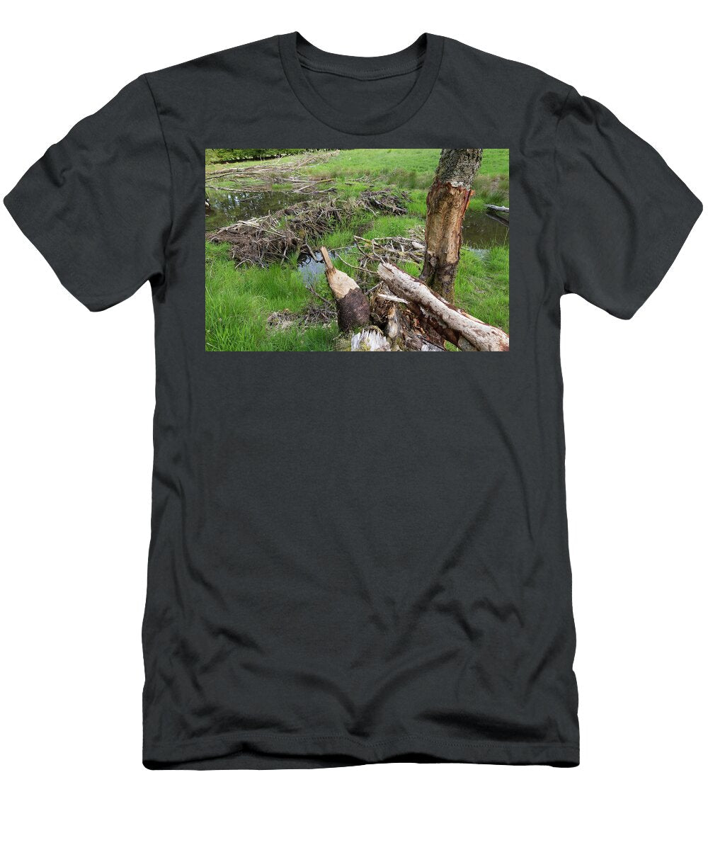 Beaver Dam on River and Chewed Logs Bamff Estate Scotland the Big Picture Natureplcom T-Shirt