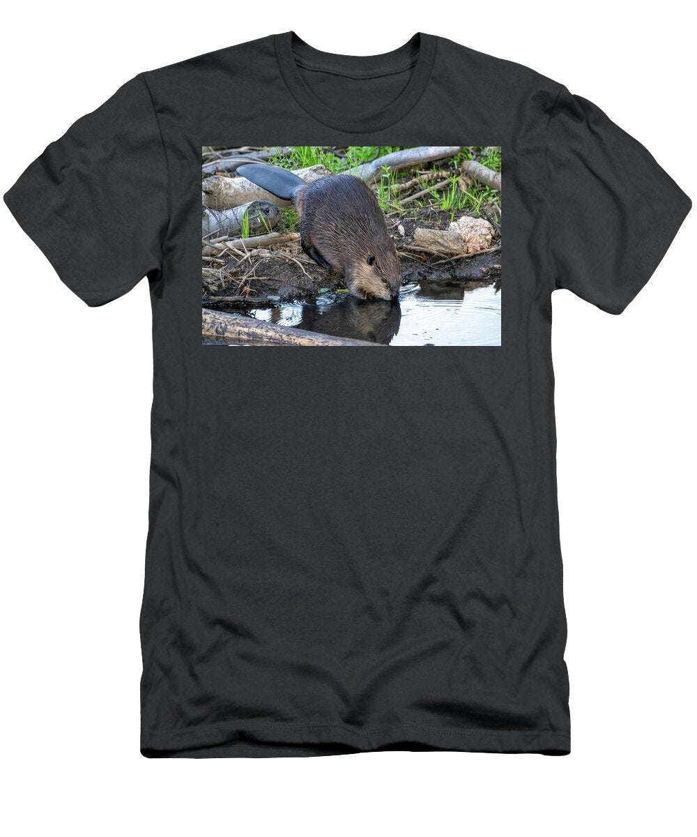 Beaver Drinking Water By Riverbank Adgate Adventures T-Shirt