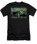 Beaver Eating Bark From Branch with Foliage and Ferns Scotland the Big Picture Natureplcom T-Shirt