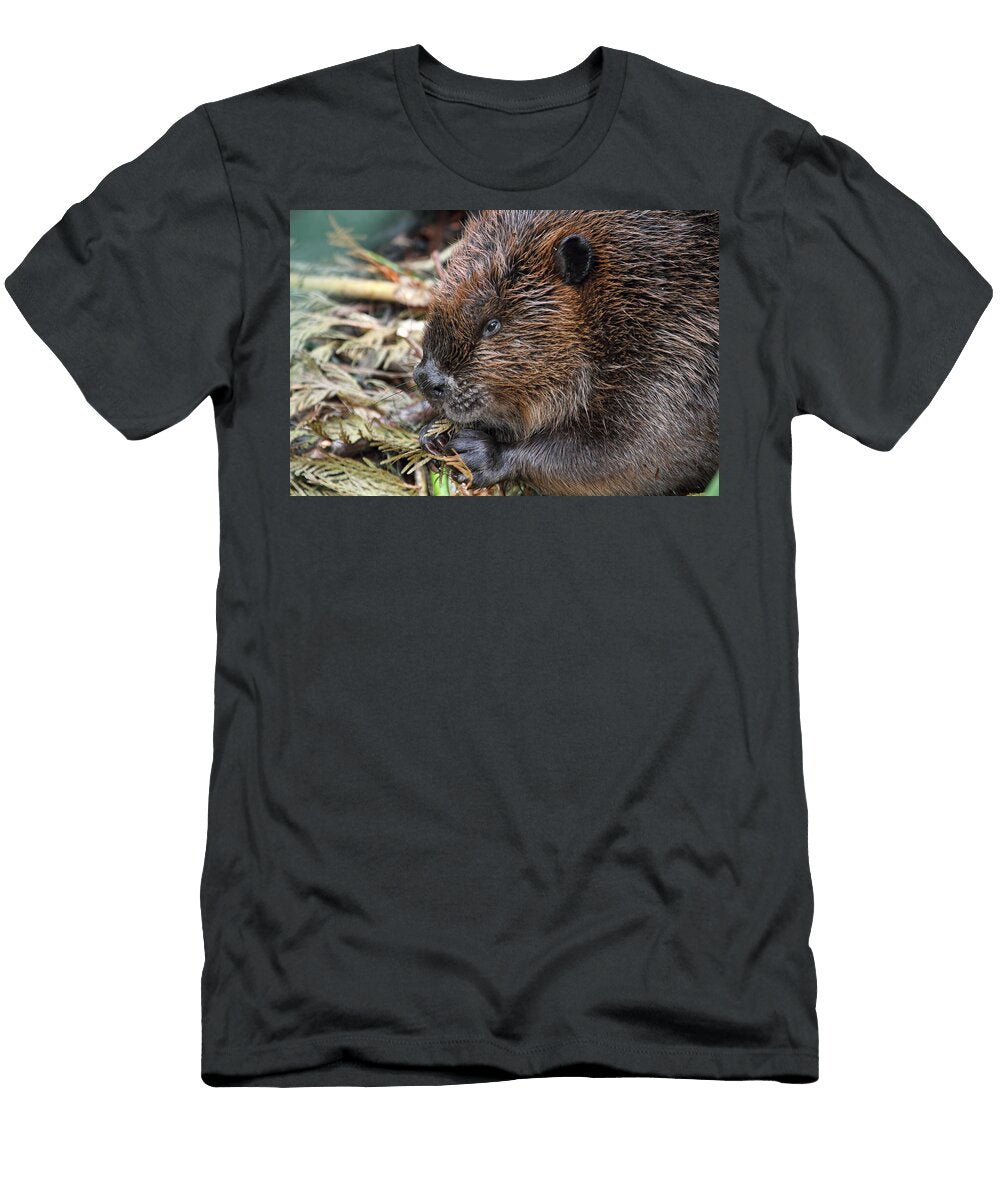 Beaver Eating Peggy Collins T-Shirt