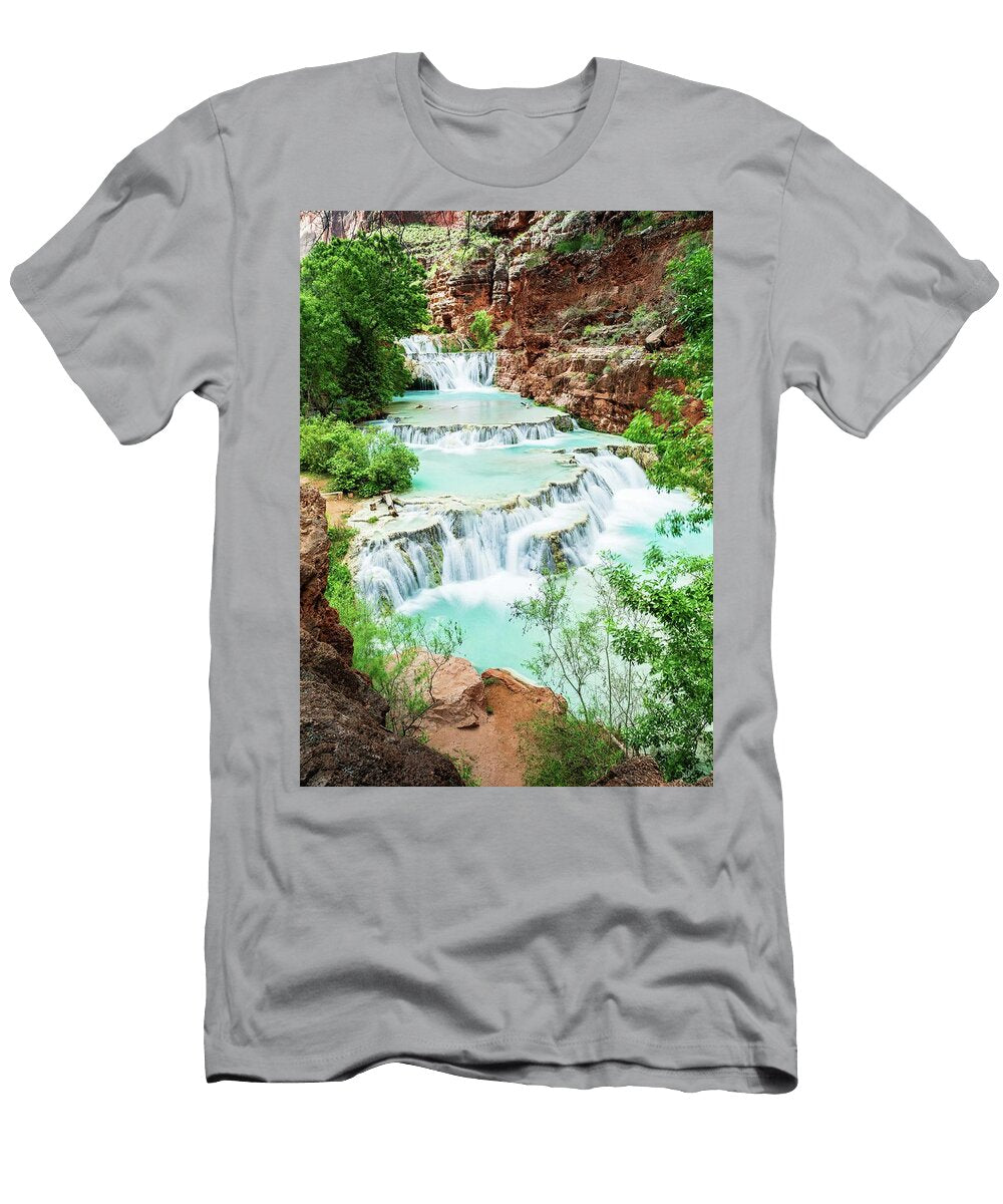 Beaver Falls Peterson Pierre T-Shirt
