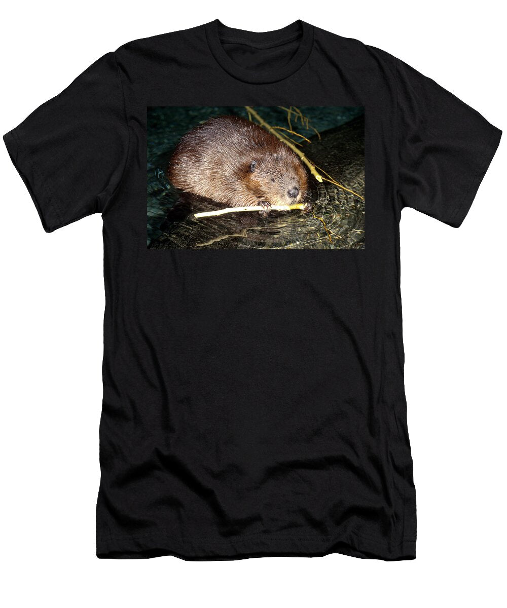 Beaver Feeding John Mitchell T-Shirt