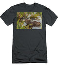 Beaver Feeding on Aspen Grand Teton National Park Jeff Foott Natureplcom T-Shirt