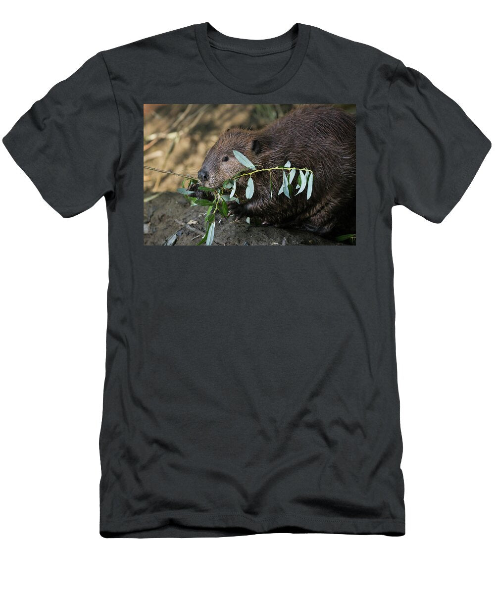 Beaver Feeding on Willow Suzi Eszterhas T-Shirt