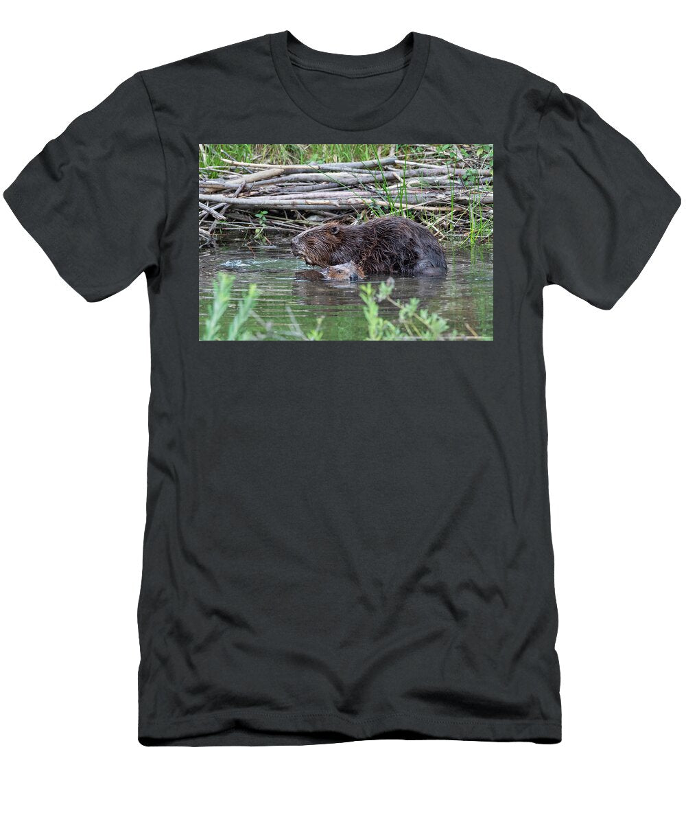 Beaver Female Feding Isar River Upper Bavaria Germany Konrad Wothe Natureplcom T-Shirt