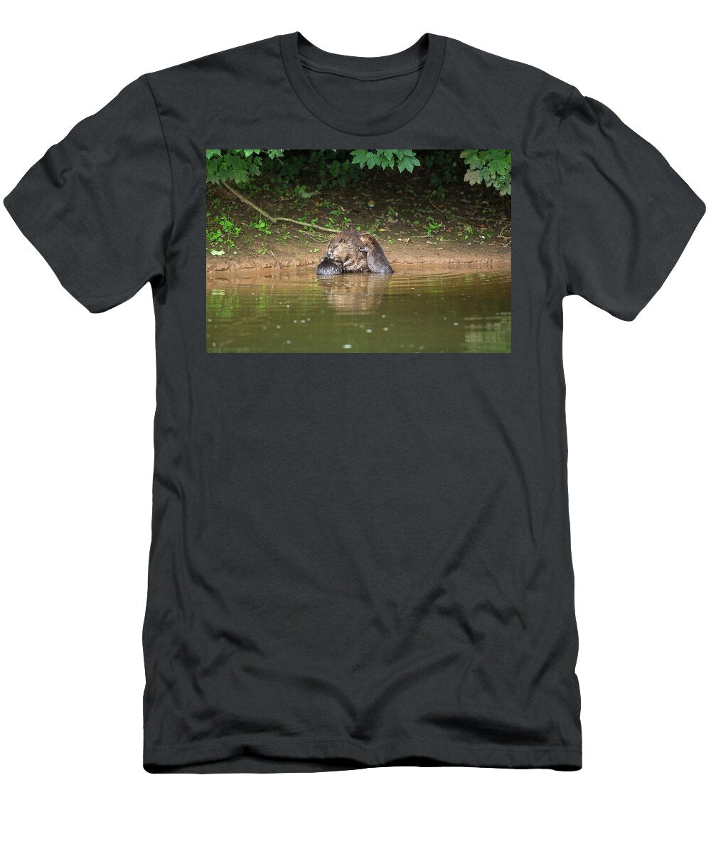 Beaver Female Nursing Her Young on the River Otter Devon Matthew Maran Natureplcom T-Shirt