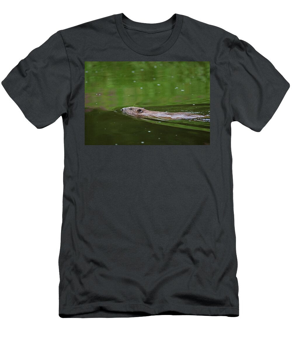Beaver Female Swimming Up the River Otter Devon UK Matthew Maran Natureplcom T-Shirt
