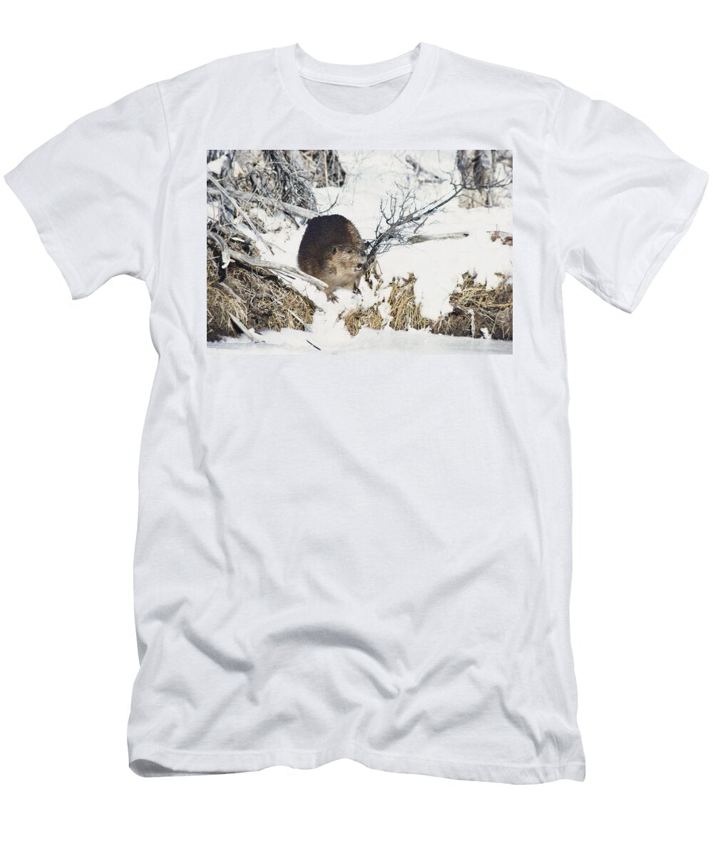 Beaver Harry Engels T-Shirt