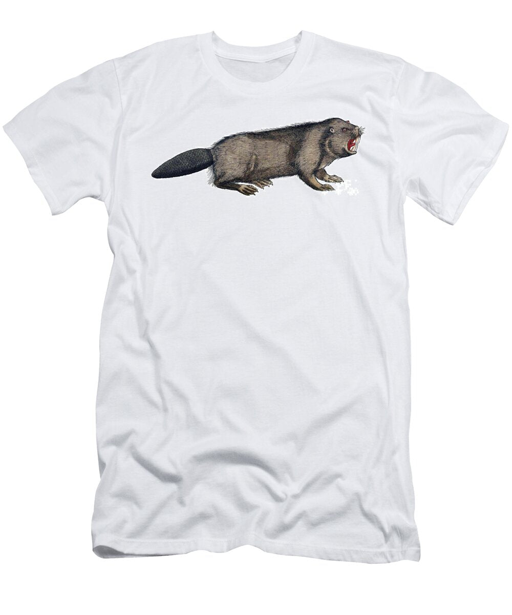 Beaver Historiae Animalium 16th Science Source T-Shirt