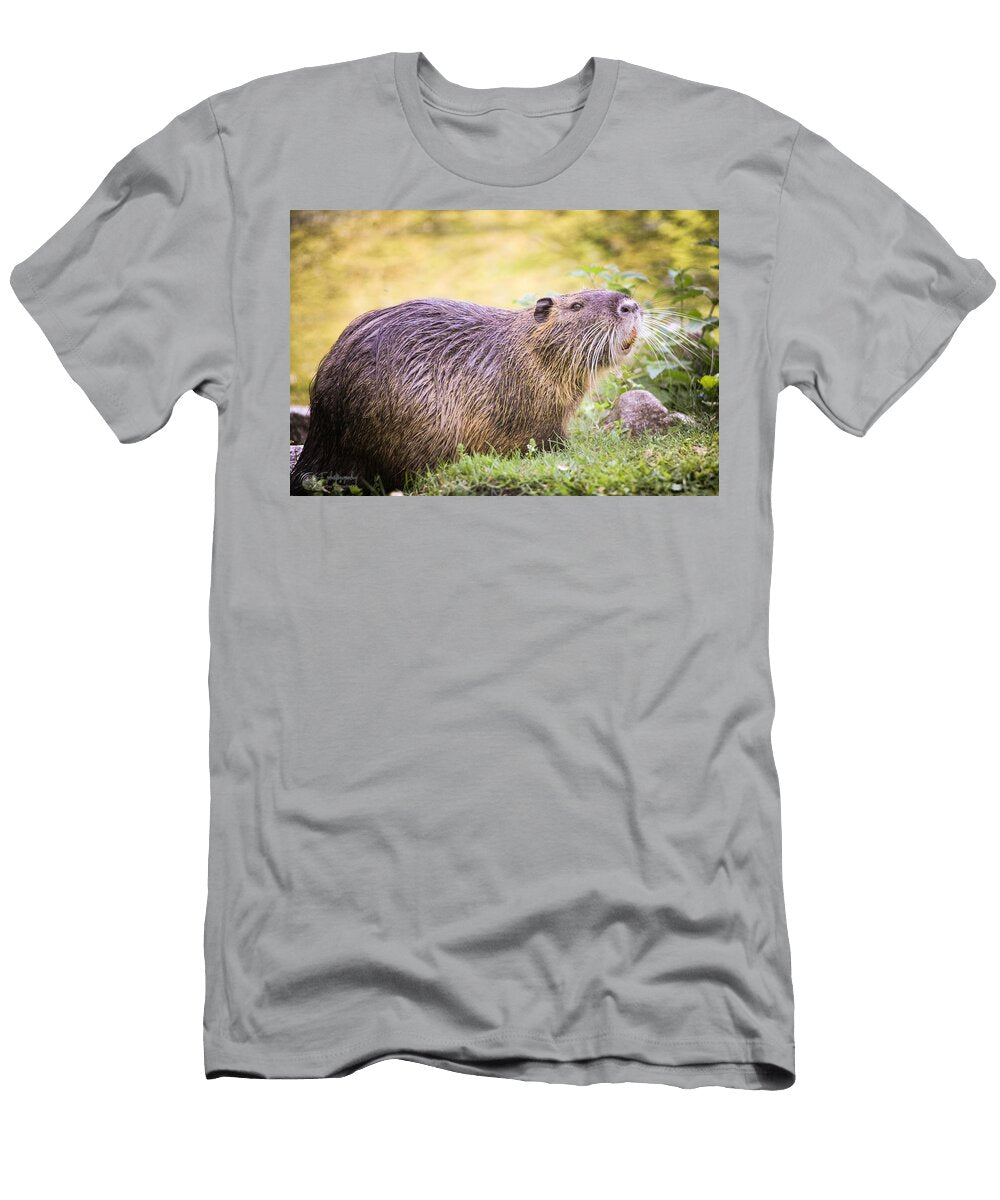 Beaver in the Landscape Les Classics T-Shirt
