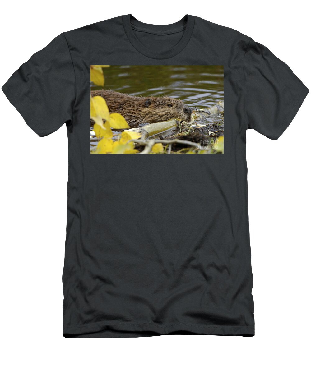 Beaver John Shaw T-Shirt