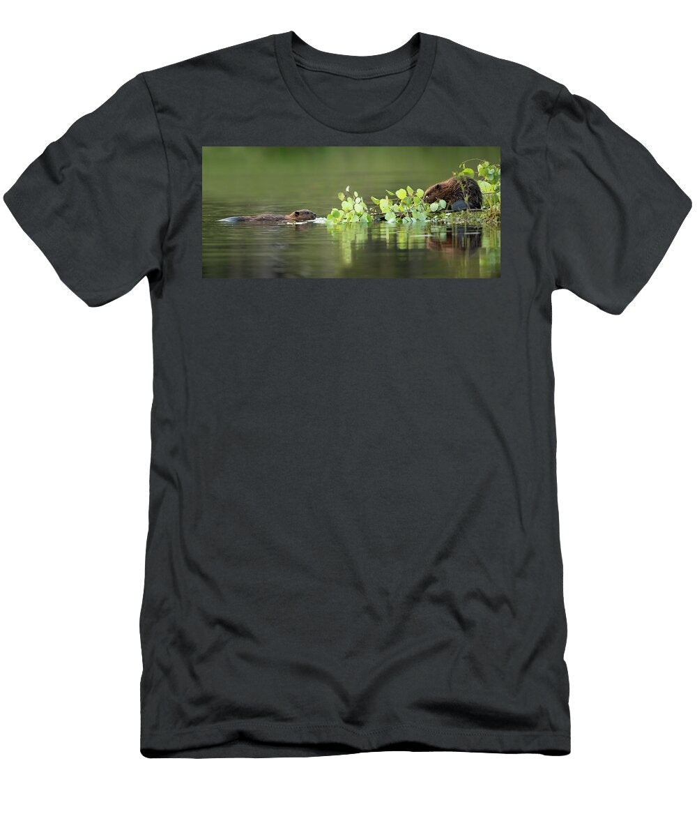 Beaver Kits Feeding on Vegetation Finland Danny Green Natureplcom T-Shirt
