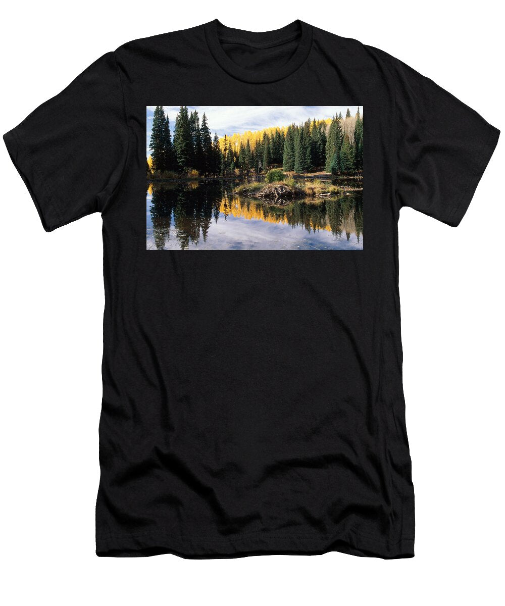 Beaver Lodge Gunnison Nf Colorado James Steinberg T-Shirt