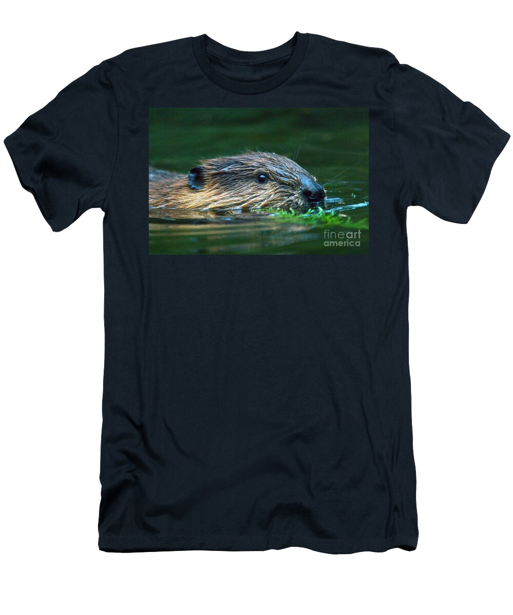 Beaver Mark Newman T-Shirt