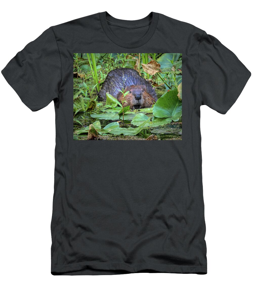 Beaver Observing Dennis Lundell T-Shirt