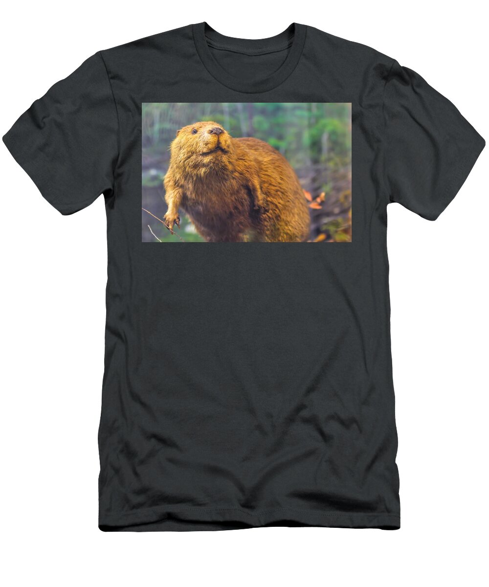 Beaver on Dam Les Classics T-Shirt