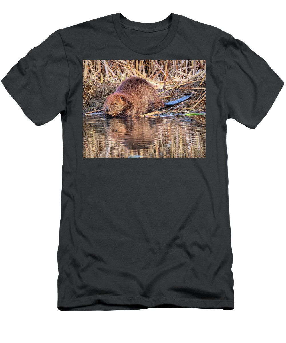 Beaver on the Bank Dennis Lundell T-Shirt
