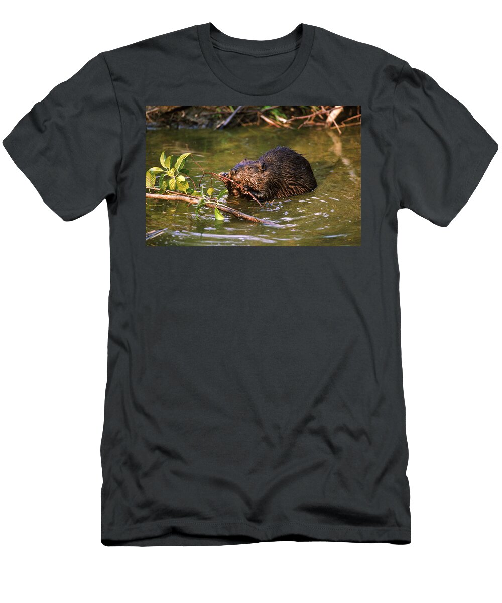 Beaver Paul J Fusco T-Shirt