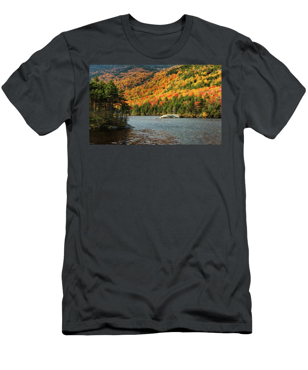 Beaver Pond 2016 Robert Clifford T-Shirt